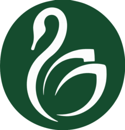Website De Swaene